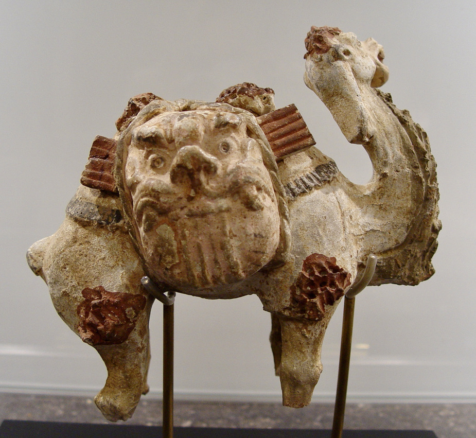 Kamel Tang Dynastie
(618-907 n.Chr)
 nach der Restaurierung